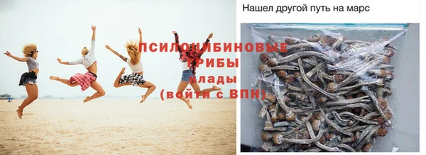 прущий лед Абаза