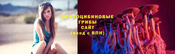 дживик Алексин