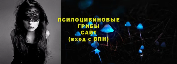 прущий лед Абаза