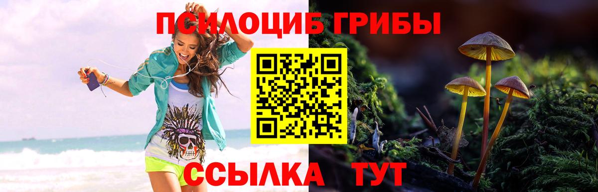 купить  сайты  Псилоцибиновые грибы мухоморы  Вход с VPN  Зеленодольск 