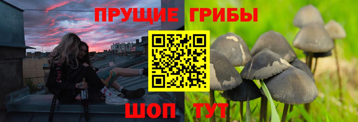 Псилоцибиновые грибы GOLDEN TEACHER Зеленодольск