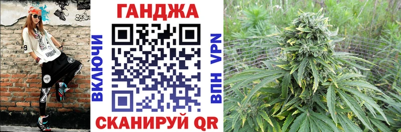 где купить наркоту  Зеленодольск  Конопля ГИДРОПОН 